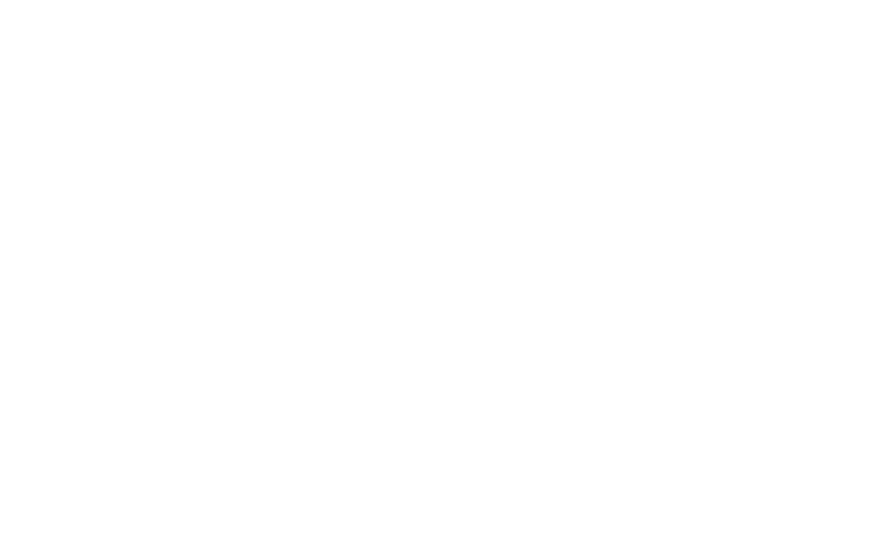 The Gunderson Group